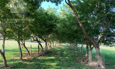 Terreno en Venta en Finca Real en Costa Esmeralda Veracruz