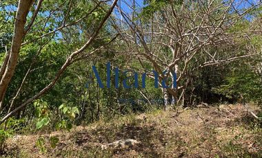 Terreno en Puerto Ángel