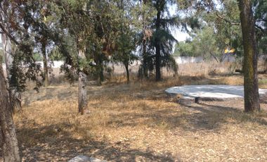 Propiedad en Zumpango, Estado de México. Sup. 8,330.73 m2