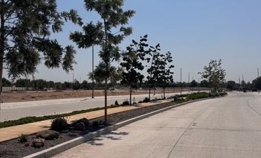 Terreno - Fraccionamiento Camino Real