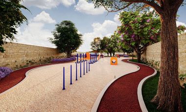 Terreno - Fraccionamiento Camino Real