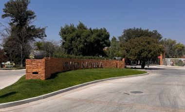 Terreno - Fraccionamiento Camino Real