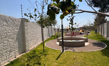 Terreno - Fraccionamiento Camino Real