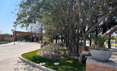 Terreno - Fraccionamiento Camino Real