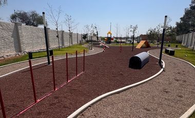 Terreno - Fraccionamiento Camino Real