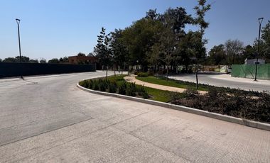 Terreno - Fraccionamiento Camino Real