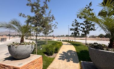 Terreno - Fraccionamiento Camino Real