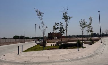 Terreno - Fraccionamiento Camino Real