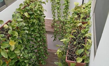 Casa en venta en Fraccionamiento con vigilancia en Jiutepec Morelos