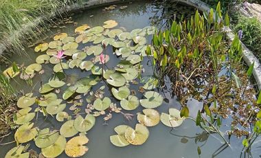 Casa en venta en Fraccionamiento con vigilancia en Jiutepec Morelos