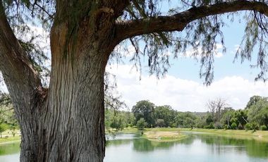 Terreno en Ejido Cuauhtémoc