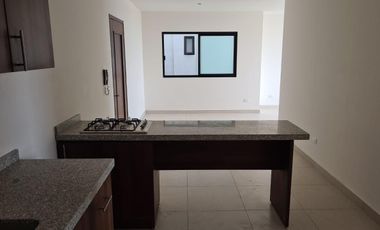 Departamento en Zona Centro, Agusscalientes