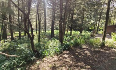 Terreno en  Venta en Ex-hacienda Jajalpa