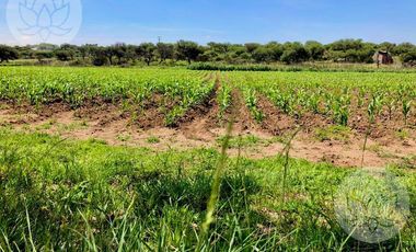 VENTA DE RANCHO EN DOLORES HIDALGO, GUANAJUATO A 20 MINUTOS DE SAN MIGUEL DE ALLENDE