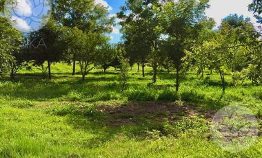 VENTA DE RANCHO EN DOLORES HIDALGO, GUANAJUATO A 20 MINUTOS DE SAN MIGUEL DE ALLENDE