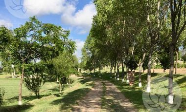 VENTA DE RANCHO EN DOLORES HIDALGO, GUANAJUATO A 20 MINUTOS DE SAN MIGUEL DE ALLENDE