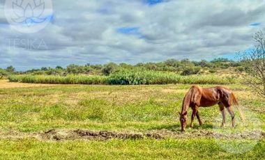 VENTA DE RANCHO EN DOLORES HIDALGO, GUANAJUATO A 20 MINUTOS DE SAN MIGUEL DE ALLENDE