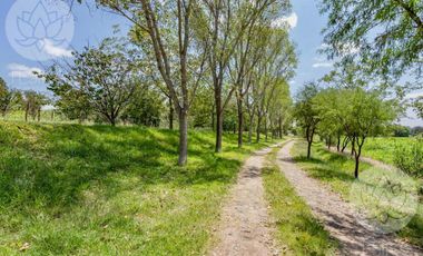 VENTA DE RANCHO EN DOLORES HIDALGO, GUANAJUATO A 20 MINUTOS DE SAN MIGUEL DE ALLENDE