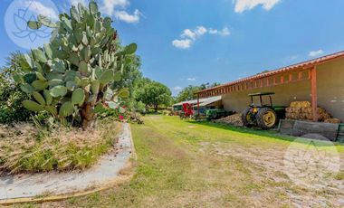 VENTA DE RANCHO EN DOLORES HIDALGO, GUANAJUATO A 20 MINUTOS DE SAN MIGUEL DE ALLENDE