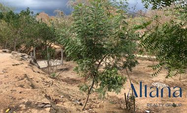 Terreno - Rancho o rancheria El Vigía