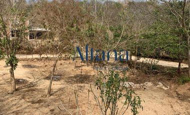 Terreno - Rancho o rancheria El Vigía