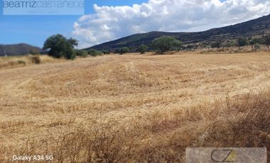 TERRENO EN VENTA, CARRETERA FEDERAL PACHUCA TULANCINGO, EL MERCILLERO