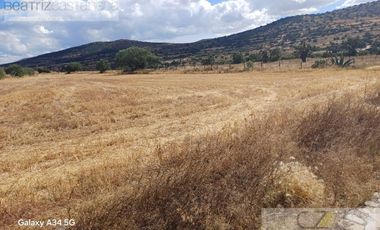 TERRENO EN VENTA, CARRETERA FEDERAL PACHUCA TULANCINGO, EL MERCILLERO