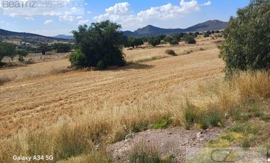 TERRENO EN VENTA, CARRETERA FEDERAL PACHUCA TULANCINGO, EL MERCILLERO