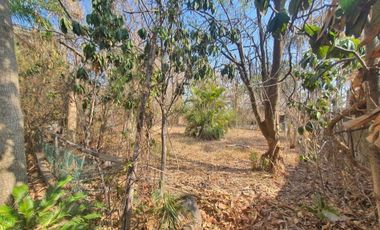 Casa en VENTA en Miacatlán