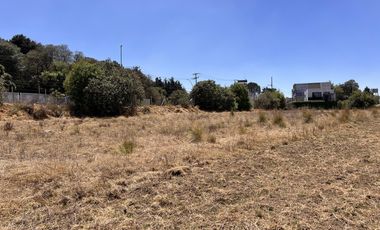 Terreno en  Venta en ejido la campana