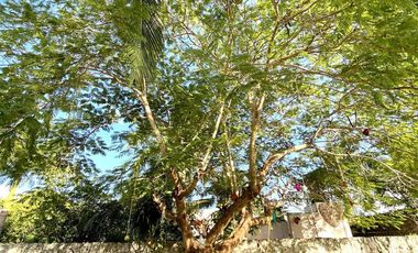 Residencia en venta en Colonia Doctores Cancun