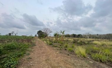 VENTA DE TERRENO EN PUENTE NACIONAL, VERACRUZ
