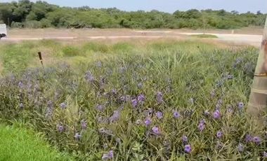 VENTA DE TERRENO EN PUNTA TIBURON, RIVIERA VERACRUZANA, ALVARADO, VERACRUZ