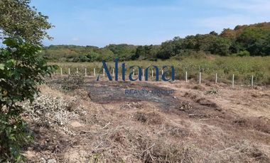 Terreno en  Puerto Escondido, San Isidro el Palmar, Santa María Tonameca