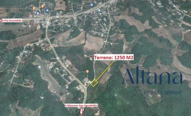 Terreno en  Puerto Escondido, San Isidro el Palmar, Santa María Tonameca