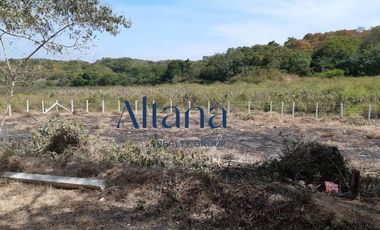 Terreno en  Puerto Escondido, San Isidro el Palmar, Santa María Tonameca