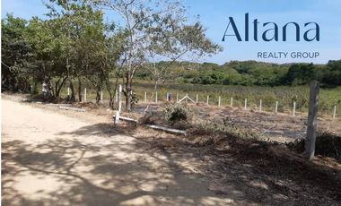Terreno en  Puerto Escondido, San Isidro el Palmar, Santa María Tonameca