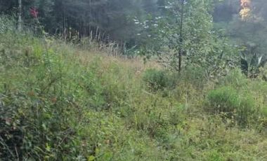 TERRENO EN VENTA, LA ESTANZUELA, HGO.