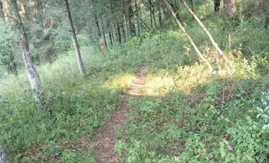 TERRENO EN VENTA, LA ESTANZUELA, HGO.