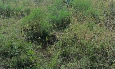 TERRENO EN VENTA, LA ESTANZUELA, HGO.