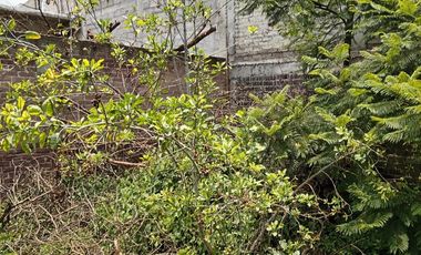 Casa para remodelar con excelente Terreno en Ampliación Santa Catarina