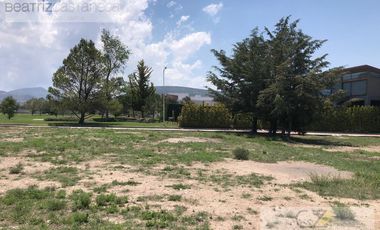 TERRENO RESIDENCIAL EN VENTA SAN AGUSTIN TLAXIACA, HGO.