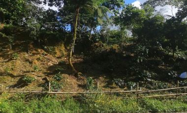 Terreno en Venta en Ciudad de Cuetzalan, Cuetzalán del Progreso, Puebla