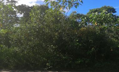 Terreno en Venta en Ciudad de Cuetzalan, Cuetzalán del Progreso, Puebla