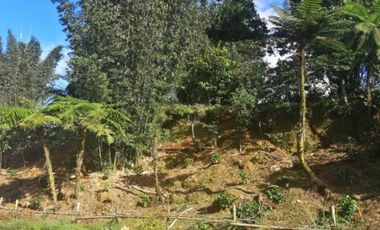 Terreno en Venta en Ciudad de Cuetzalan, Cuetzalán del Progreso, Puebla