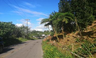 Terreno en Venta en Ciudad de Cuetzalan, Cuetzalán del Progreso, Puebla