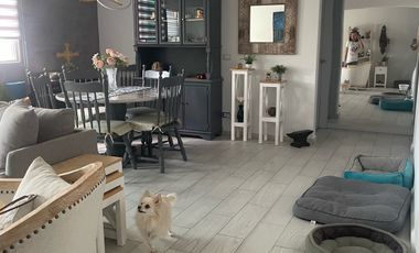 Departamento - Gustavo Baz Prada