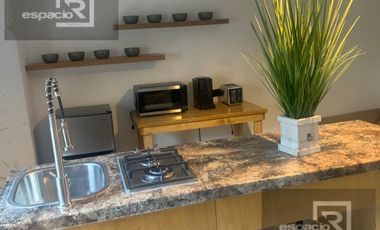 DEPARTMENTO EJECUTIVO EN RENTA EN CERCA DEL COLEGIO EVEREST