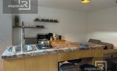 DEPARTMENTO EJECUTIVO EN RENTA EN CERCA DEL COLEGIO EVEREST