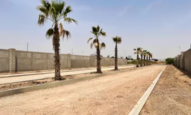 Terrenos en venta en Circuito Las Parras en LAS VIÑAS, Residencial Los Viñedos.